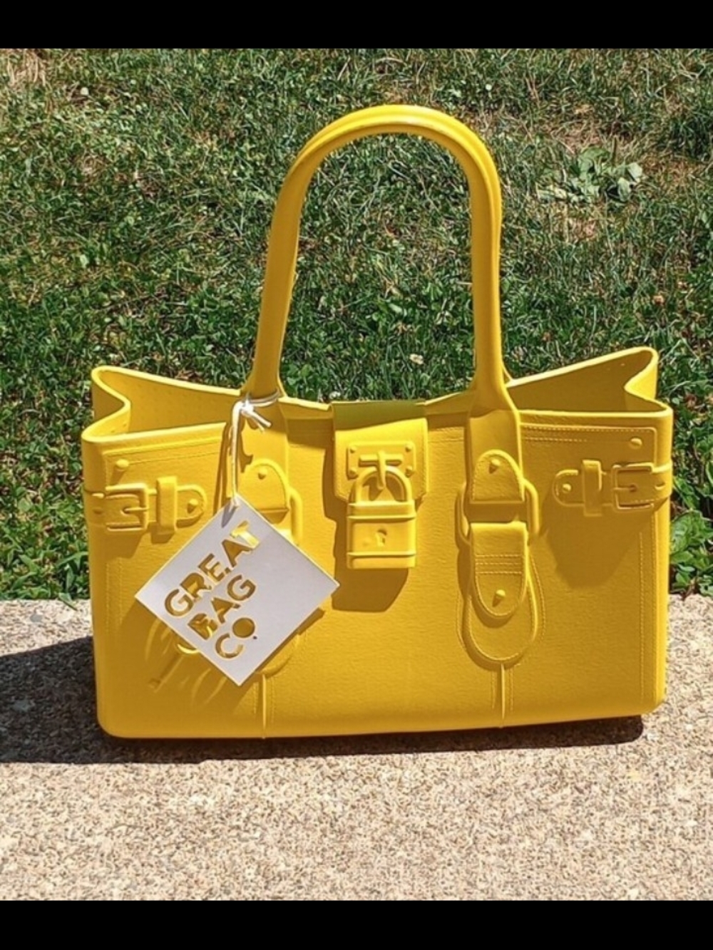 Great Bag Co. NWT